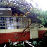 Tempestade que derrubou 1 árvore em cima de 2 salas