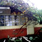 Tempestade que derrubou 1 árvore em cima de 2 salas