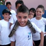 Museu de História Natural em Cornélio Procópio