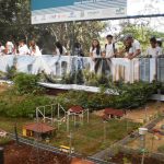Exposição Agropecuária de Londrina