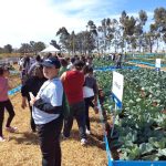 Feira Hortinorte com Prof. Pauletti