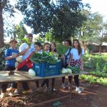 Projeto Mais Educação - Horta