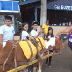 Exposição Agropecuária de Londrina