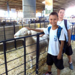 Exposição Agropecuária