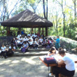 Horto Florestal