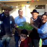 Festa Junina