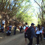 Visita ao Horto Florestal